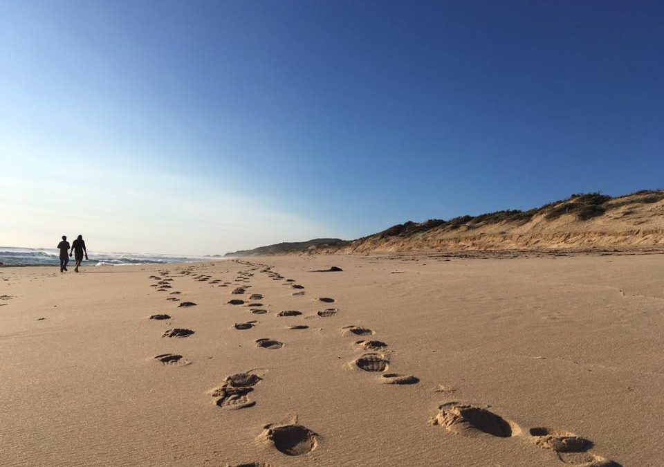 Melbourne Street Eatz -Outdoor Food Trucks