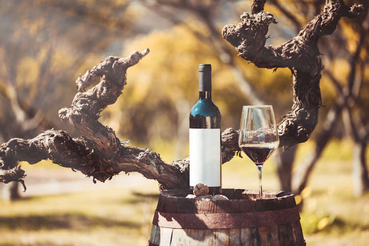 Melbourne’s Wine Festival Scene: Must-Visit Events for Victorian Wine Lovers